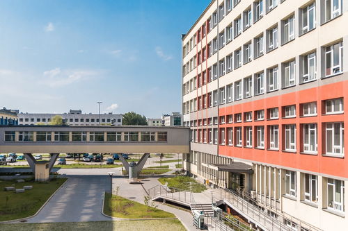 爱游戏网页版-中国篮球职业联赛俱乐部青训体系建设及实践探索,职业篮球青年队 第3张 爱游戏网页版-中国篮球职业联赛俱乐部青训体系建设及实践探索,职业篮球青年队 第3张