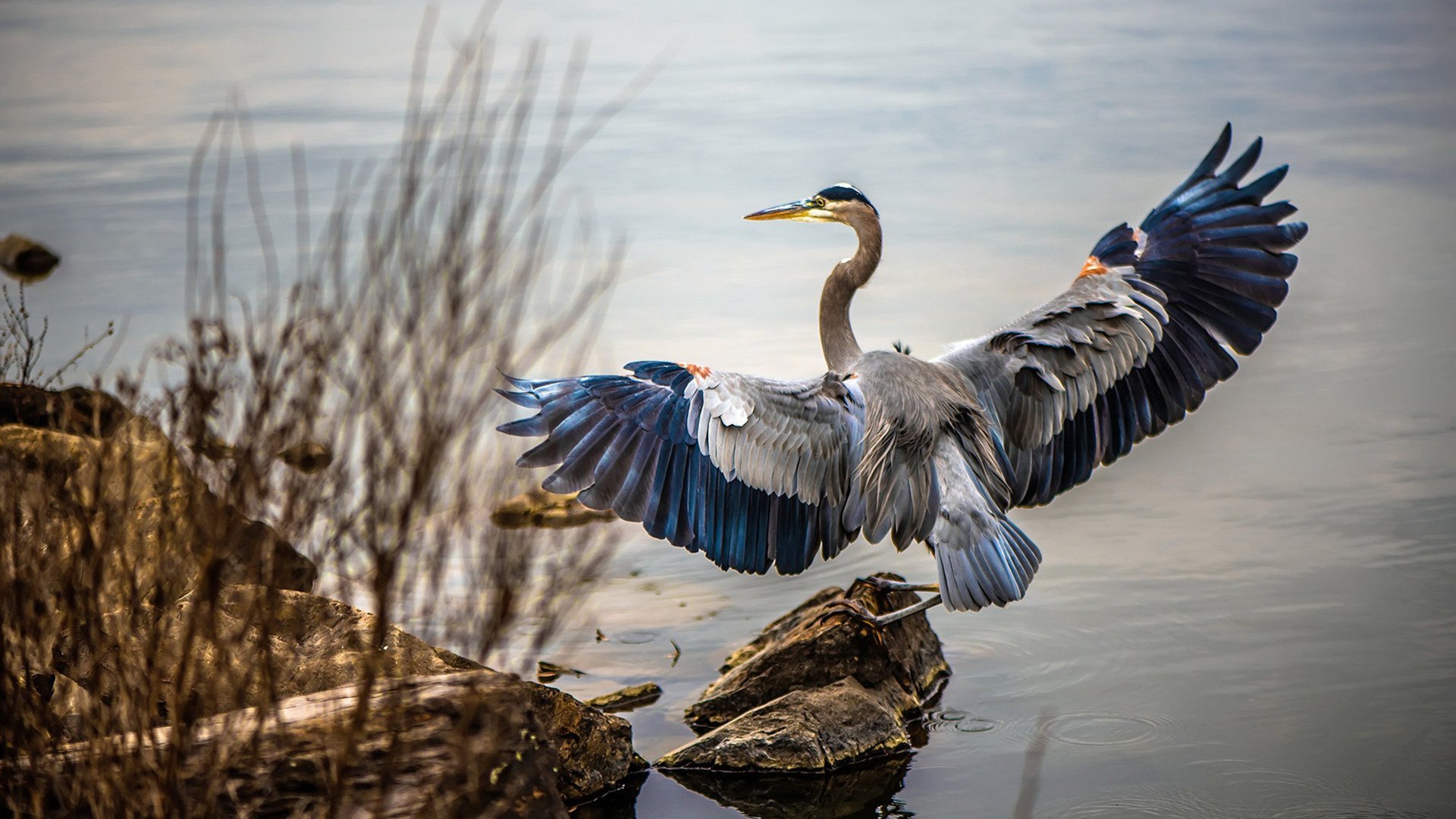 爱游戏官方网站-中国男篮加快打造多核心进攻体系，中国男篮核心球员