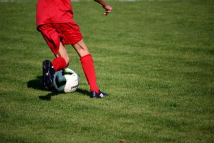 爱游戏在线娱乐官网-俱乐部青训体系与职业联赛脱节,俱乐部青训有工资吗 第1张 爱游戏在线娱乐官网-俱乐部青训体系与职业联赛脱节,俱乐部青训有工资吗 第1张