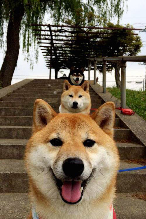 爱游戏中国官方网站平台-国家冬季项目训练中心配套设施升级完工，国家冬训基地  第1张