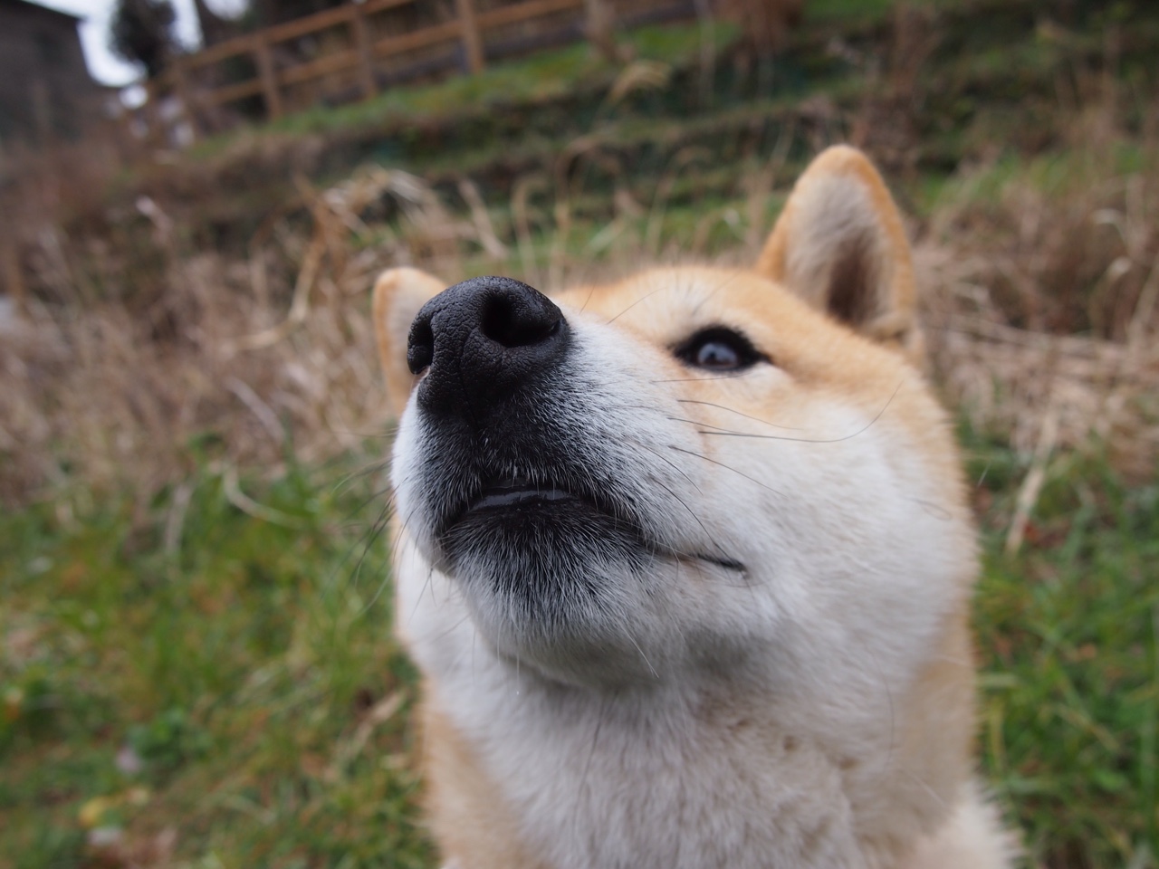 爱游戏ayx官网-美国队赛制解析：团体赛制如何帮助提升球队的整体战术素养，美国参赛队伍