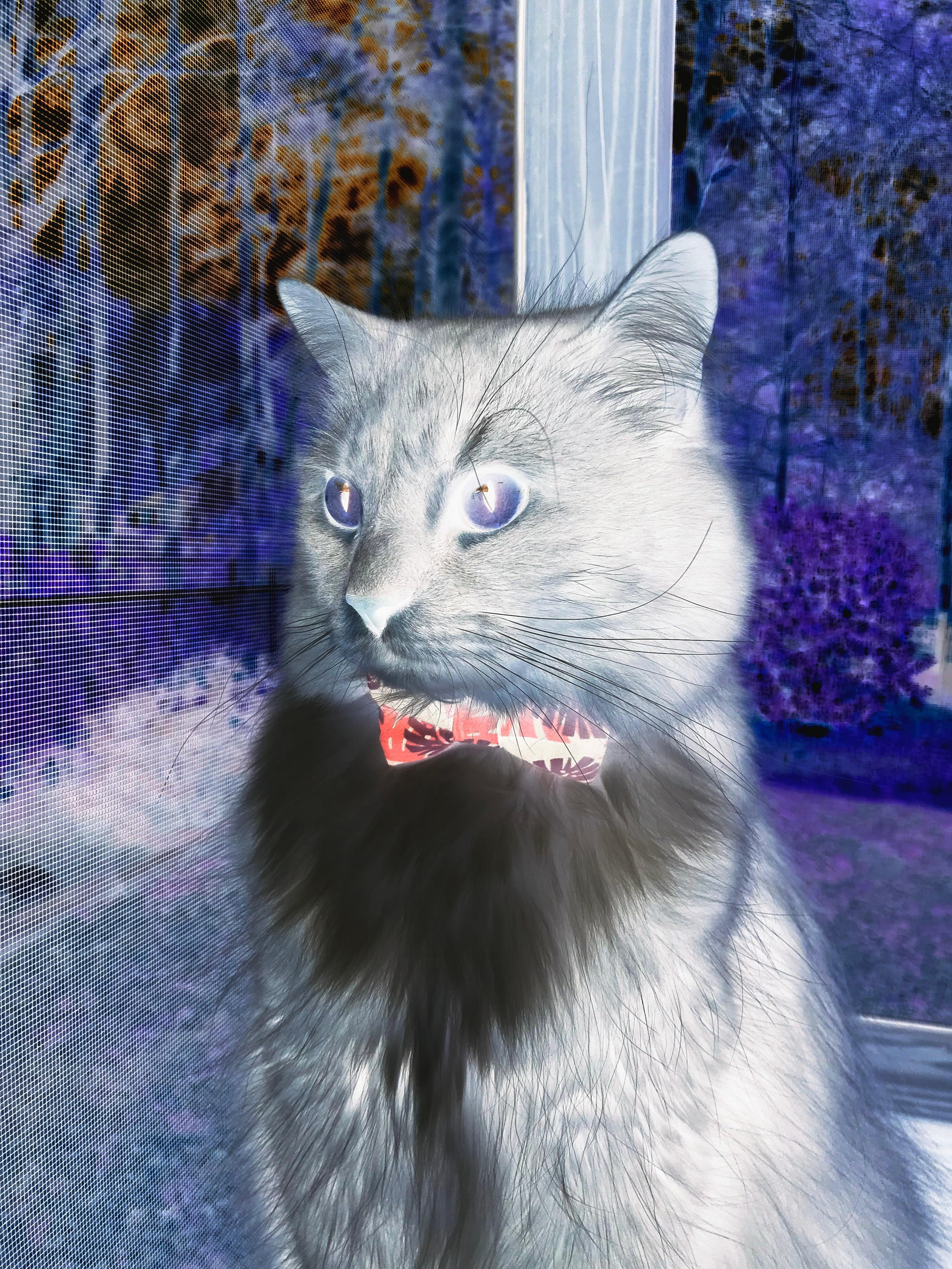 爱游戏大厅官网-运动员心理建设融入日常训练,运动员心理建设融入日常训练方案 第1张 爱游戏大厅官网-运动员心理建设融入日常训练,运动员心理建设融入日常训练方案 第1张