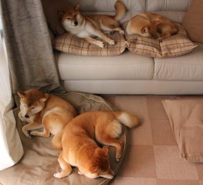 爱游戏体育官方入口-体育场馆智能化管理案例，体育场馆智慧化